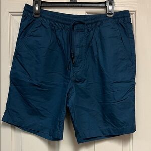Patagonia Navy Blue Men's Shorts